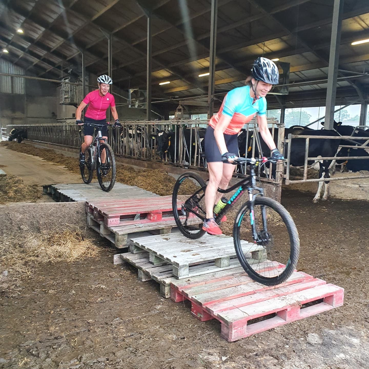 Onverharde Mijl: speciaal voor ATB-ers en gravel-bikers